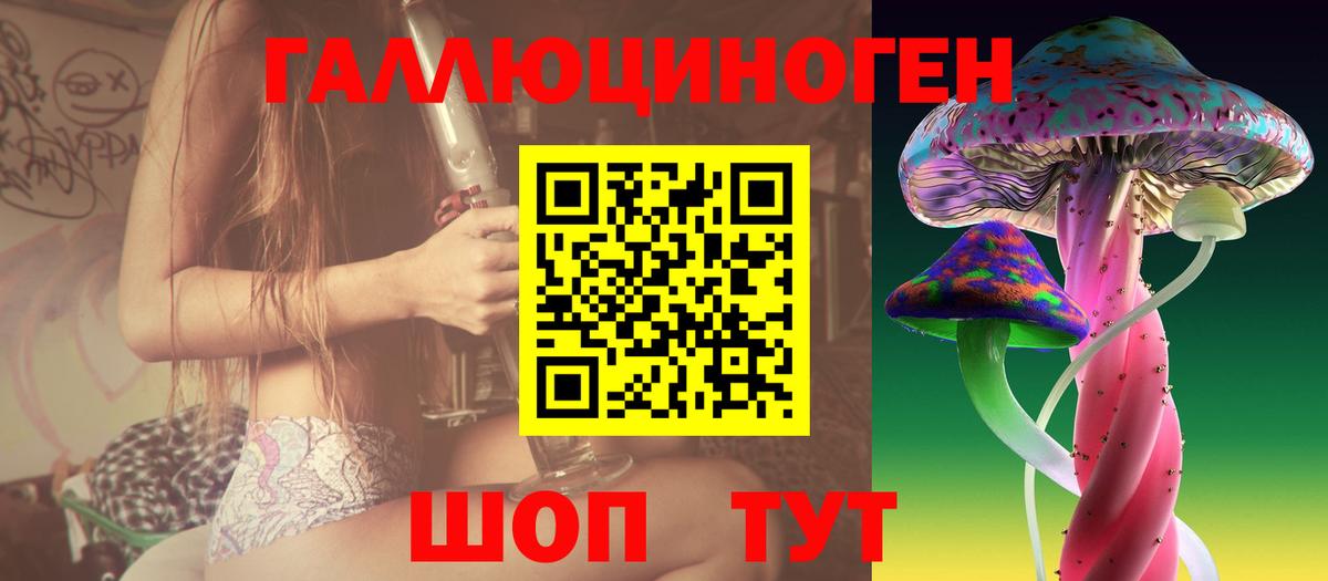 Звенигород  Галлюциногенные грибы мухоморы  Вход с VPN 